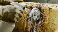 Den här blandningen tar briljant bort även rostgula fläckar i badkaret: städtipsens hemligheter