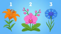 Personlighetstest: Hur är du i relationer med andra